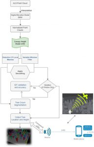 Forest Modelling Using Beacons BeaconZone Blog